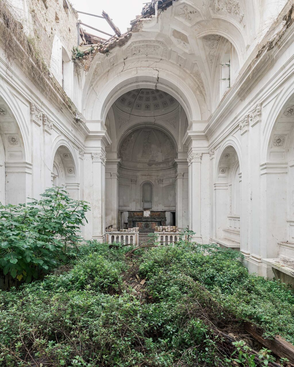 natura non facit saltus