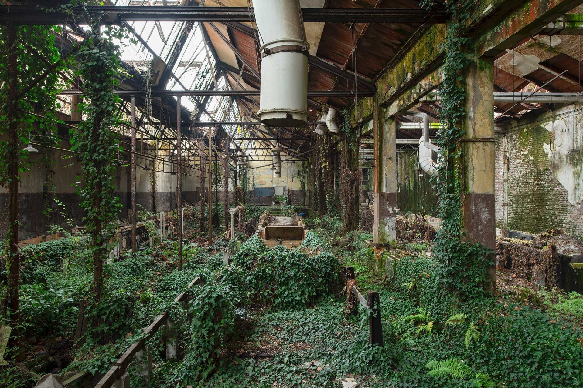 green factory